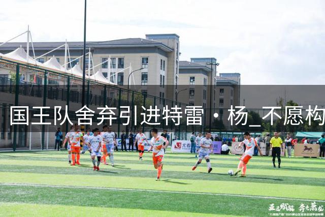 国王队舍弃引进特雷·杨 不愿构建以他为核心的阵容
